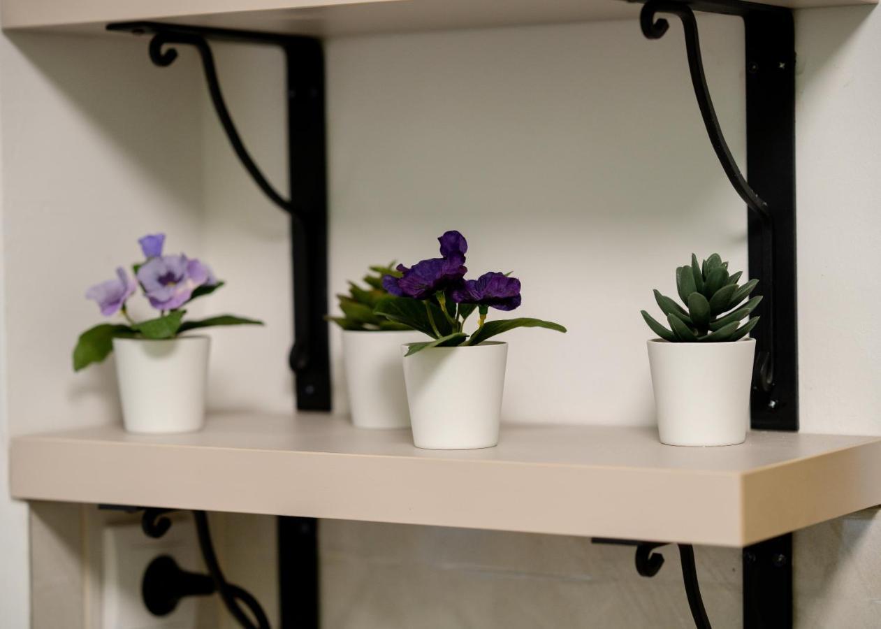 Central Park Home Spa Arandjelovac Εξωτερικό φωτογραφία